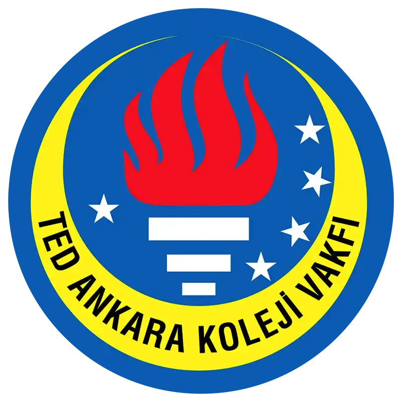 Logo 21