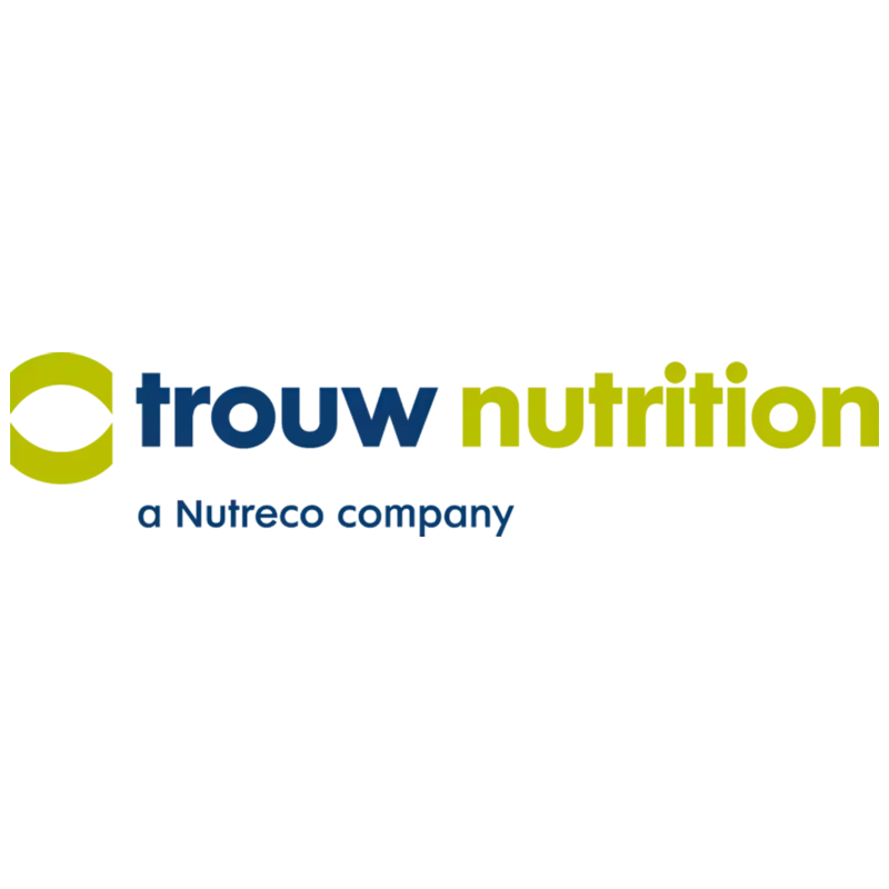 Logo 6